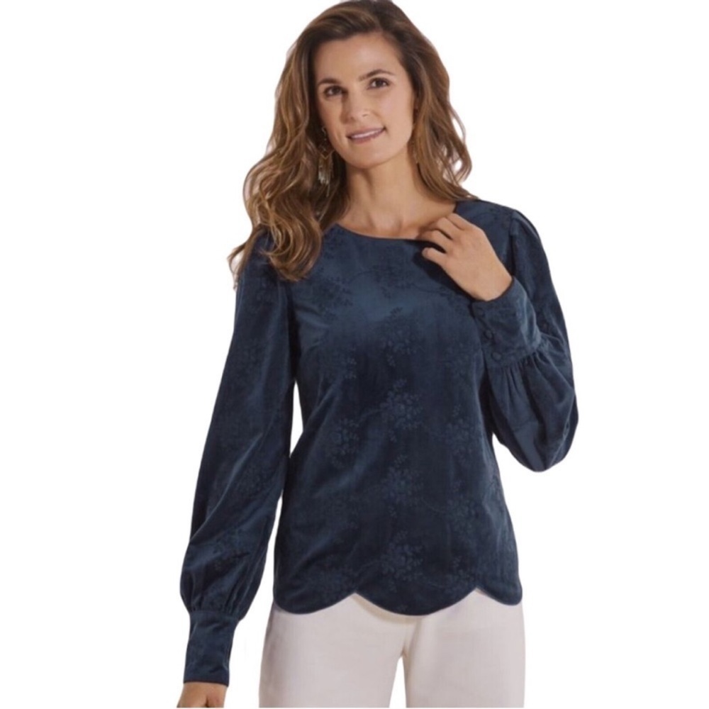 Soft Surroundings Corinthia Embroidered Velvet Long Sleeve Blouse